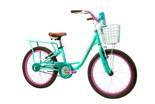 Bicicleta R/20 Evergreen Mercurio